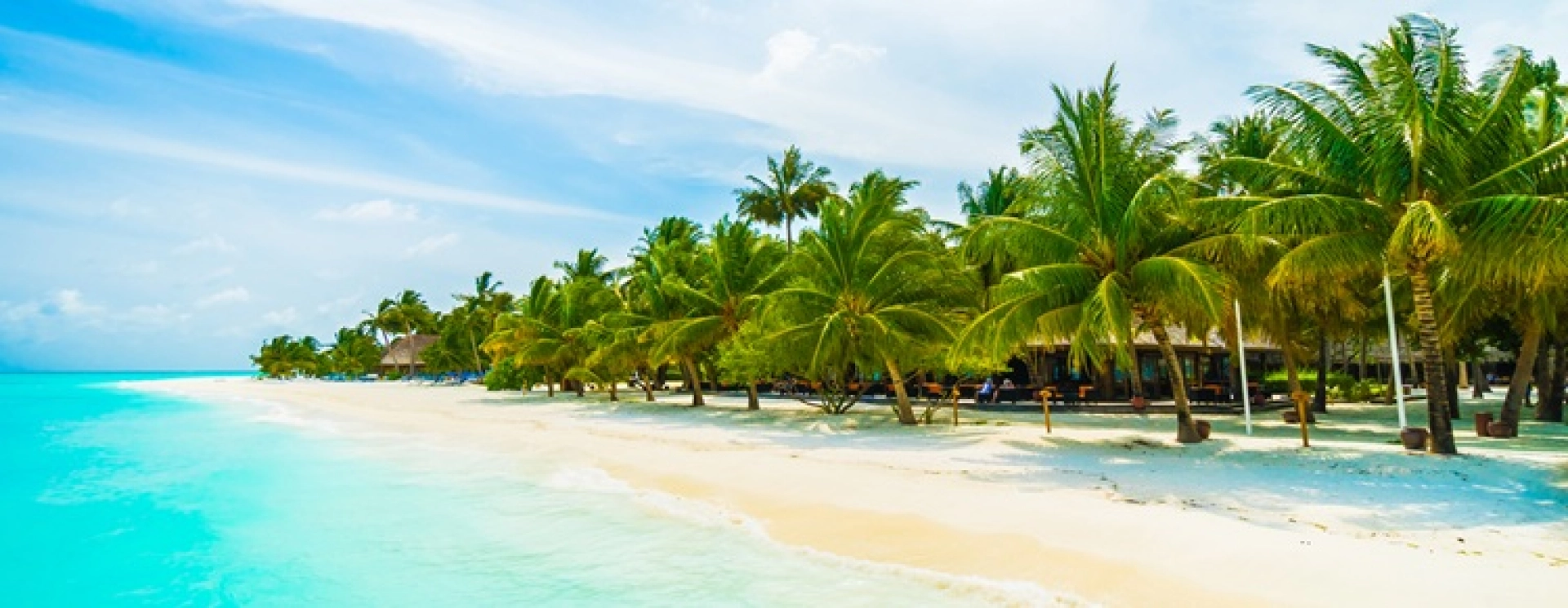 Holiday Package